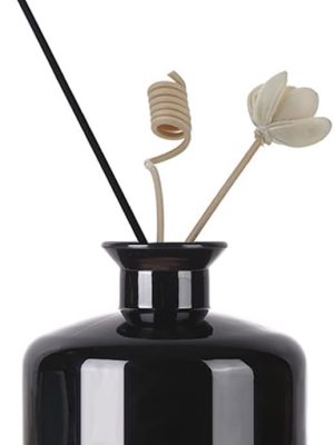 1PC 200ml/6.7oz Empty Glass Diffuser Bottles Aromatherapy Jars Containers Storage Bottle Vase Desktop Fragrance Bottle Ornament Accessories for Placing Essential Oil